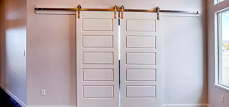 Glass Barn Door with Installation Hardware Kit San Pablo